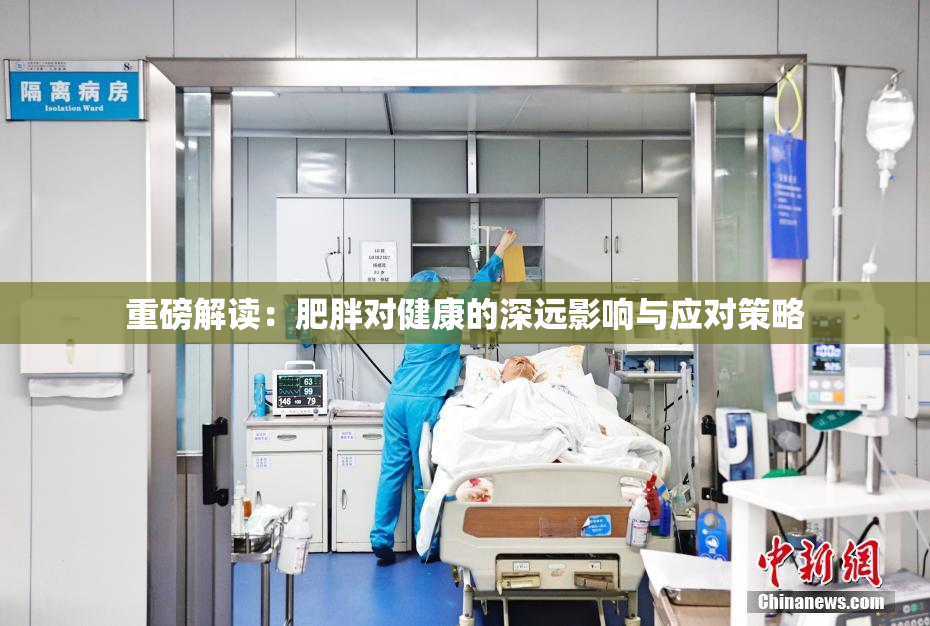 重磅解读：肥胖对健康的深远影响与应对策略