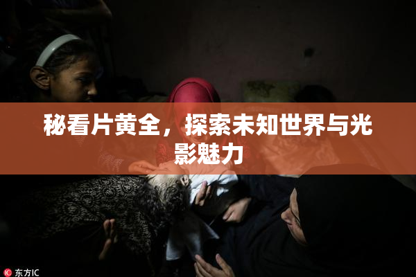 秘看片黄全，探索未知世界与光影魅力