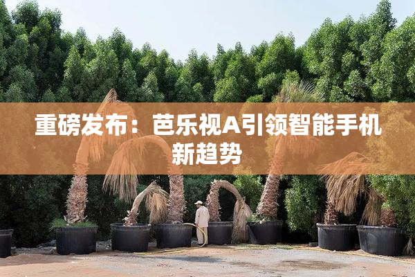 重磅发布：芭乐视A引领智能手机新趋势