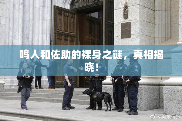 鸣人和佐助的裸身之谜，真相揭晓！