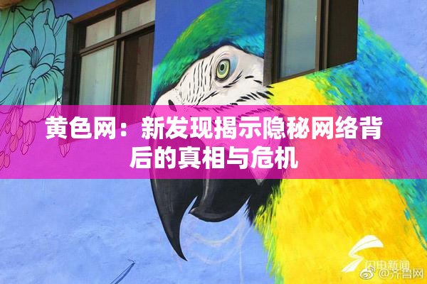 黄色网：新发现揭示隐秘网络背后的真相与危机