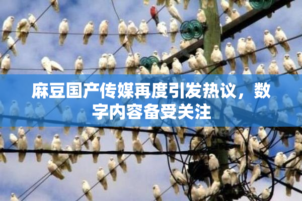 麻豆国产传媒再度引发热议，数字内容备受关注