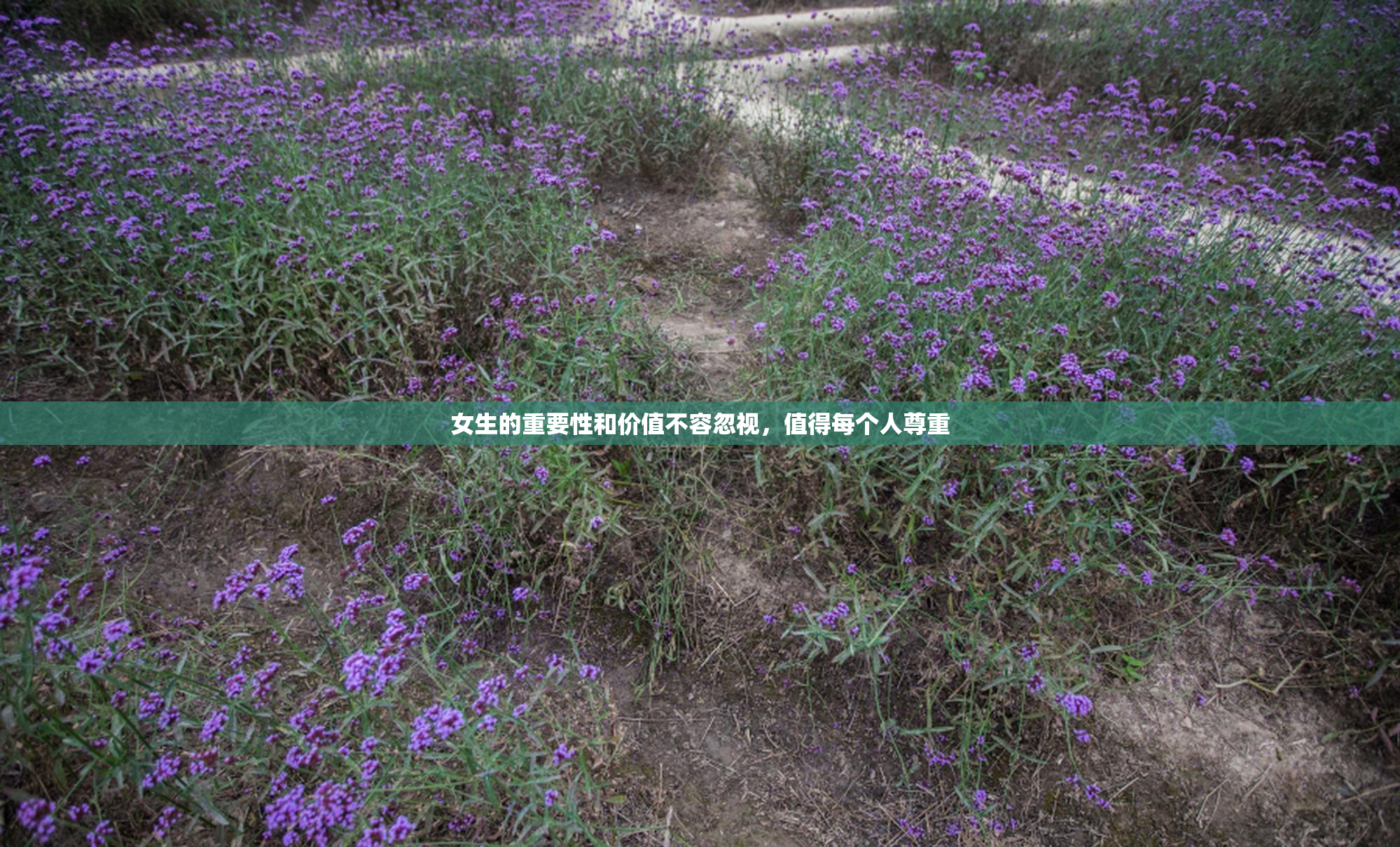 女生的重要性和价值不容忽视，值得每个人尊重