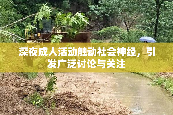 深夜成人活动触动社会神经，引发广泛讨论与关注