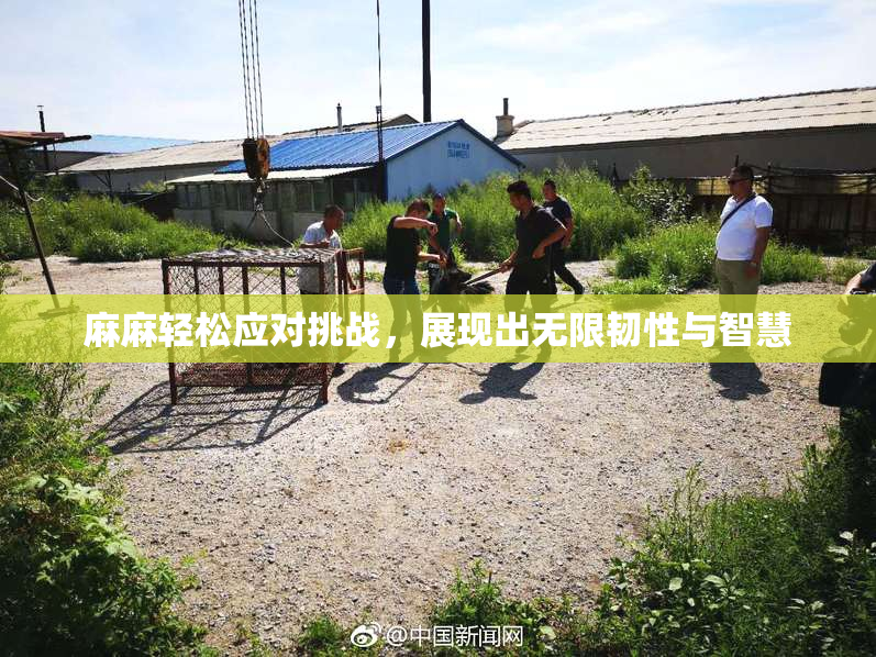 麻麻轻松应对挑战，展现出无限韧性与智慧