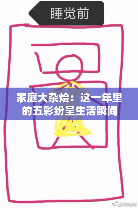 家庭大杂烩：这一年里的五彩纷呈生活瞬间