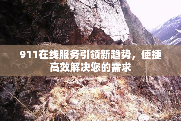 911在线服务引领新趋势，便捷高效解决您的需求
