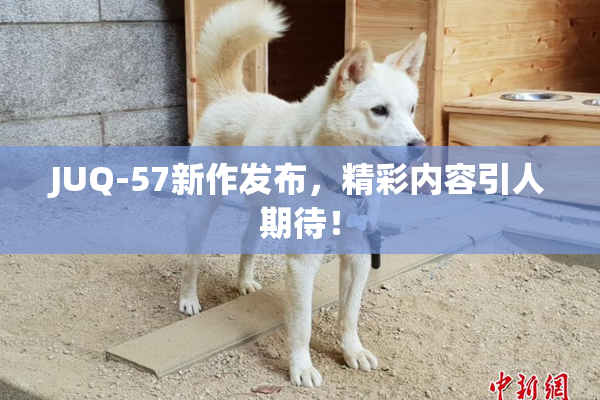 JUQ-57新作发布，精彩内容引人期待！