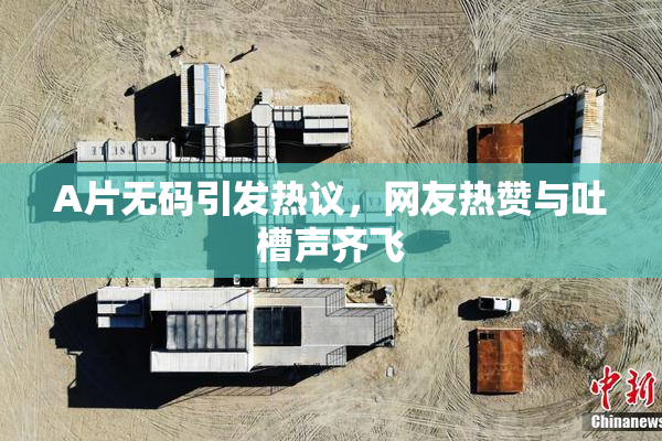 A片无码引发热议，网友热赞与吐槽声齐飞