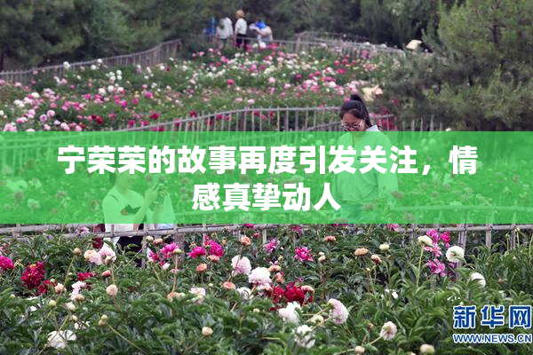 宁荣荣的故事再度引发关注，情感真挚动人