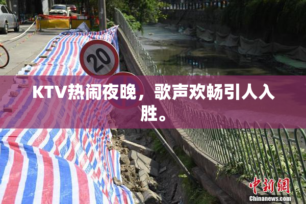 KTV热闹夜晚，歌声欢畅引人入胜。