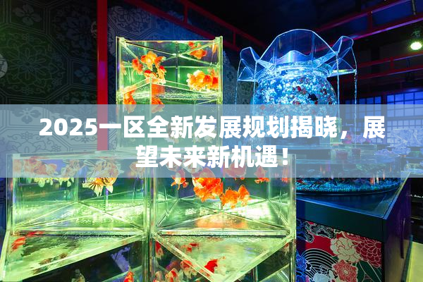 2025一区全新发展规划揭晓，展望未来新机遇！