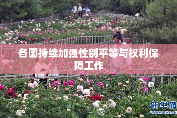 各国持续加强性别平等与权利保障工作