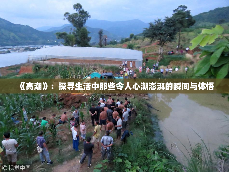 《高潮》：探寻生活中那些令人心潮澎湃的瞬间与体悟