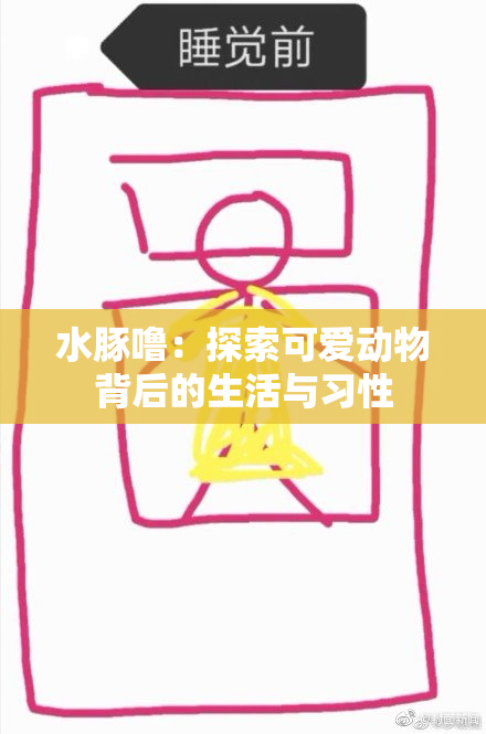 水豚噜：探索可爱动物背后的生活与习性