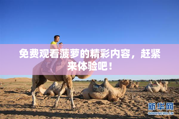 免费观看菠萝的精彩内容，赶紧来体验吧！