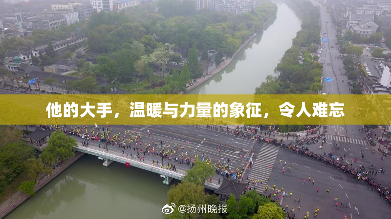 他的大手，温暖与力量的象征，令人难忘