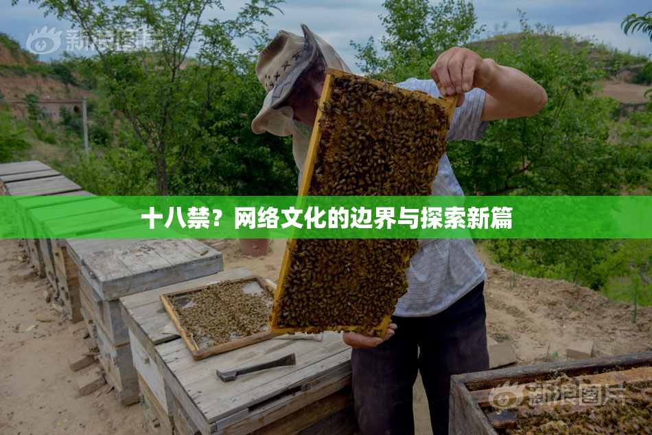 十八禁？网络文化的边界与探索新篇