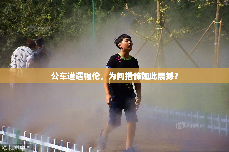 公车遭遇强伦，为何措辞如此震撼？
