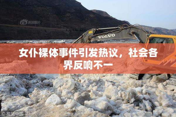 女仆裸体事件引发热议，社会各界反响不一