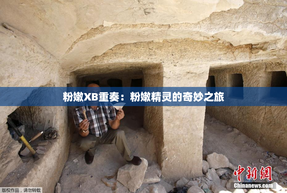 粉嫩XB重奏：粉嫩精灵的奇妙之旅