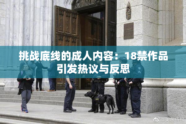 挑战底线的成人内容：18禁作品引发热议与反思
