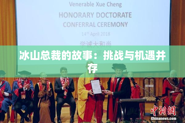 冰山总裁的故事：挑战与机遇并存