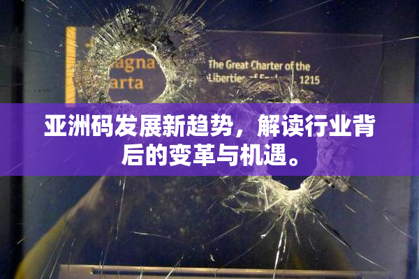 亚洲码发展新趋势，解读行业背后的变革与机遇。