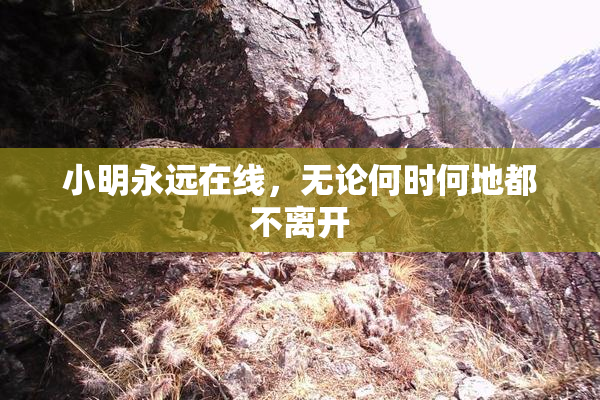 小明永远在线，无论何时何地都不离开