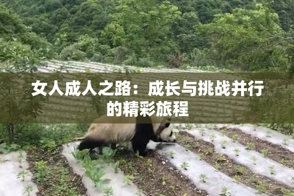 女人成人之路：成长与挑战并行的精彩旅程