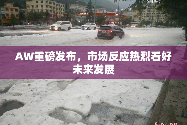 AW重磅发布，市场反应热烈看好未来发展
