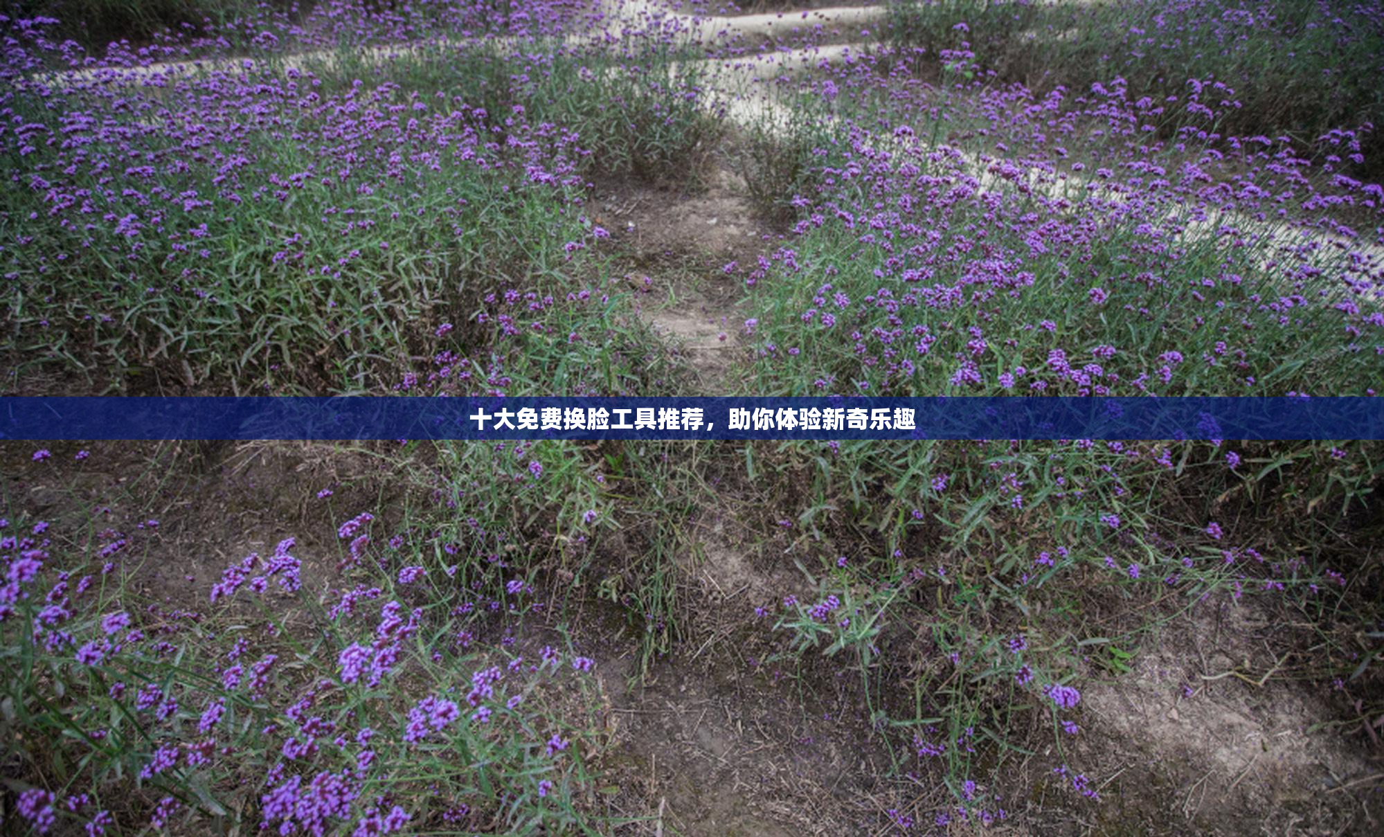 十大免费换脸工具推荐，助你体验新奇乐趣
