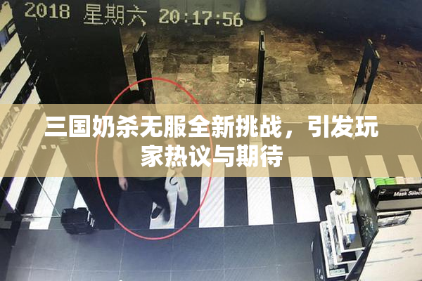三国奶杀无服全新挑战，引发玩家热议与期待