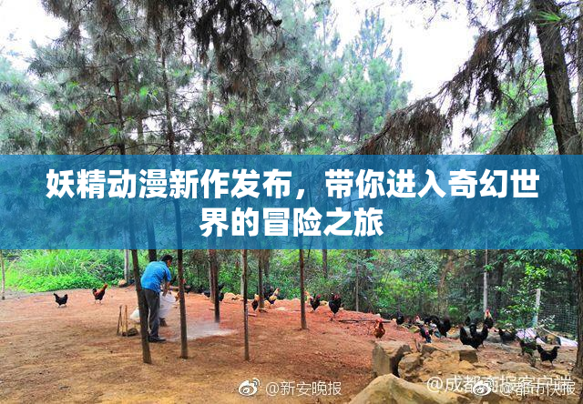 妖精动漫新作发布，带你进入奇幻世界的冒险之旅