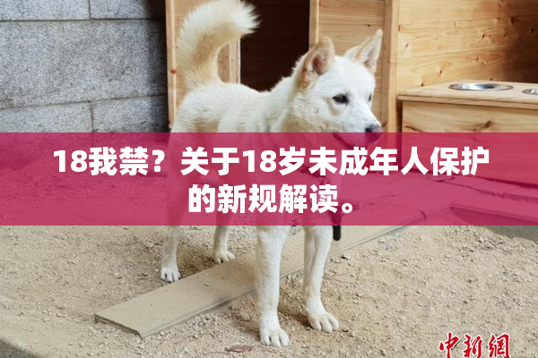 18我禁？关于18岁未成年人保护的新规解读。
