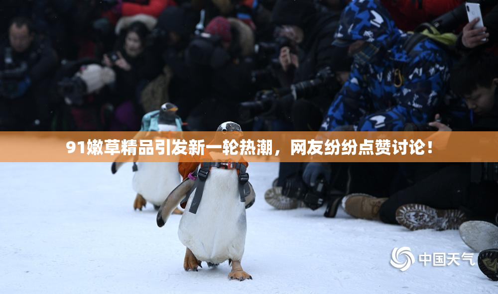 91嫩草精品引发新一轮热潮，网友纷纷点赞讨论！