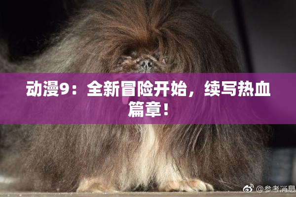 动漫9：全新冒险开始，续写热血篇章！