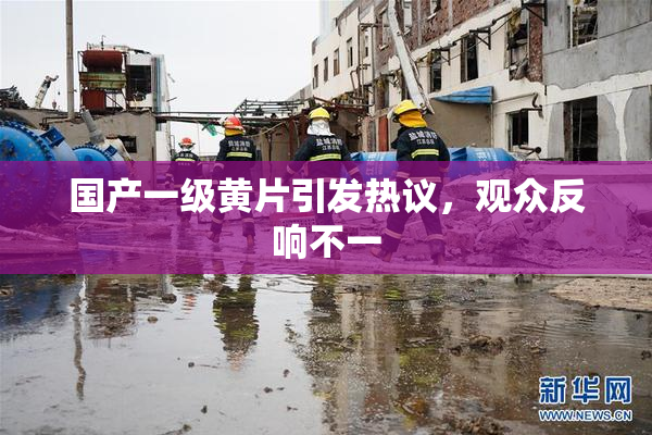 国产一级黄片引发热议，观众反响不一