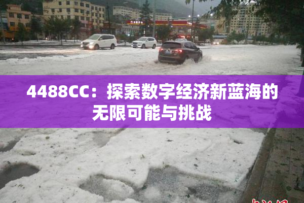 4488CC：探索数字经济新蓝海的无限可能与挑战