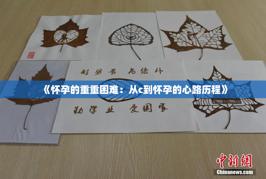 《怀孕的重重困难：从c到怀孕的心路历程》