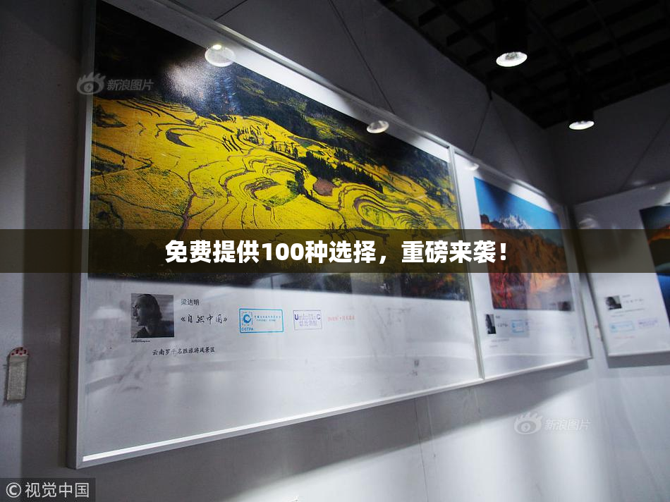 免费提供100种选择，重磅来袭！