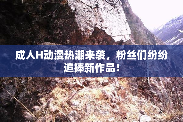 成人H动漫热潮来袭，粉丝们纷纷追捧新作品！