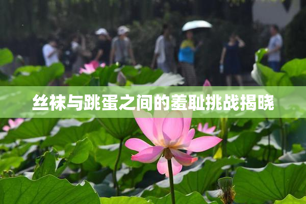 丝袜与跳蛋之间的羞耻挑战揭晓