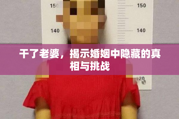 干了老婆，揭示婚姻中隐藏的真相与挑战
