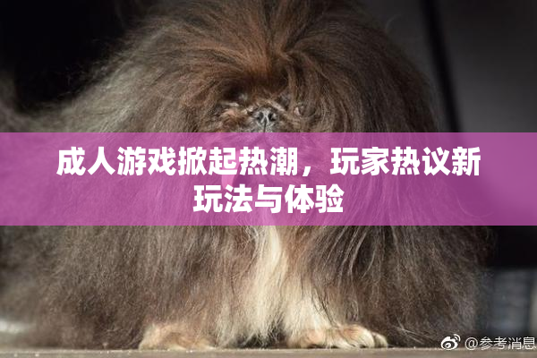 成人游戏掀起热潮，玩家热议新玩法与体验