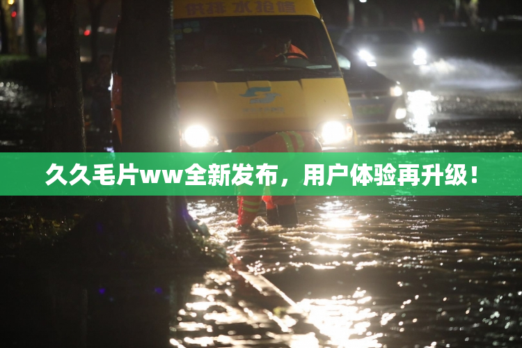 久久毛片ww全新发布，用户体验再升级！