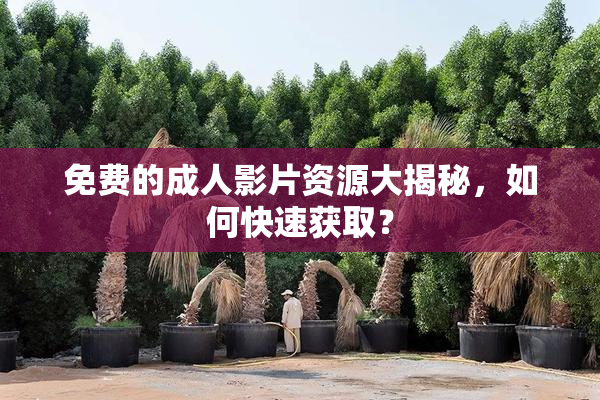 免费的成人影片资源大揭秘，如何快速获取？