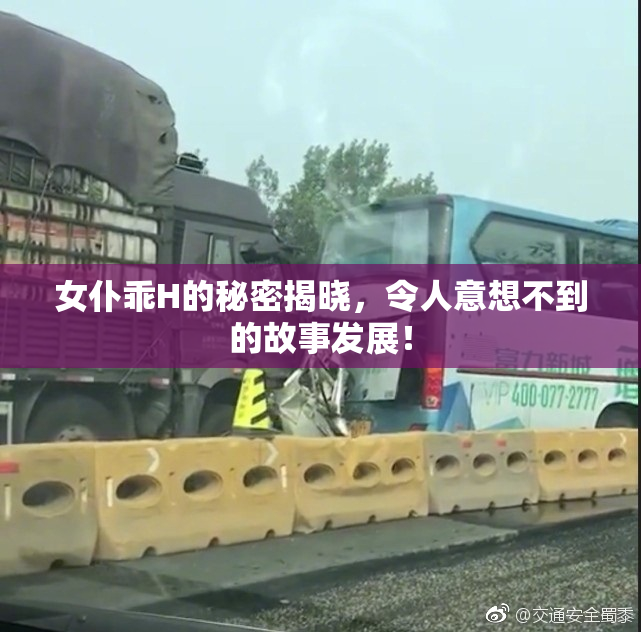 女仆乖H的秘密揭晓，令人意想不到的故事发展！