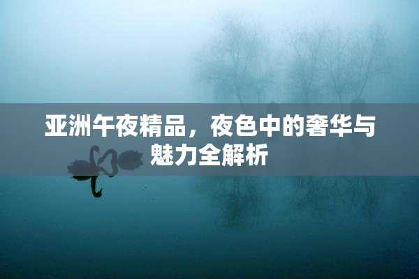 亚洲午夜精品，夜色中的奢华与魅力全解析