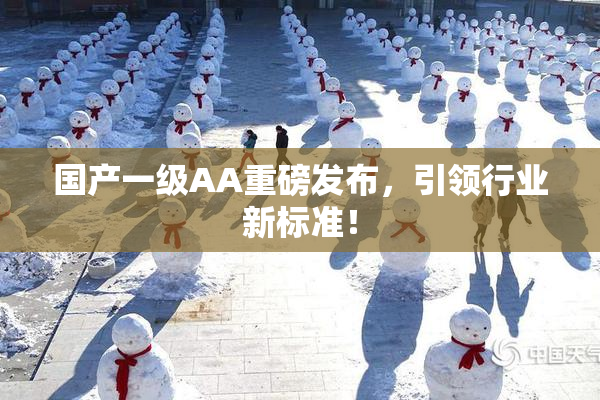 国产一级AA重磅发布，引领行业新标准！